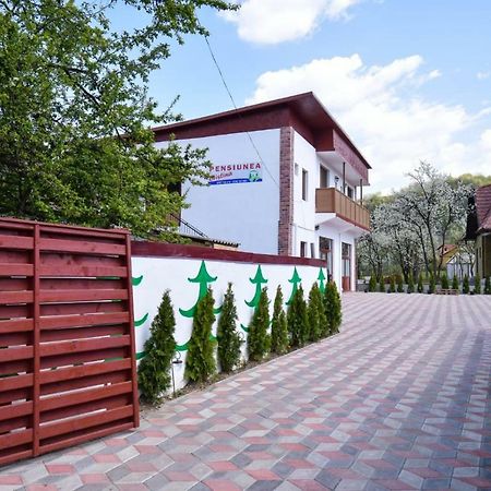 Pensiunea Cristina Vişeu de Sus Εξωτερικό φωτογραφία